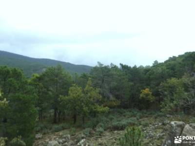 Bosque Plateado de La Jarosa; visitas cerca de madrid el salto del gitano ruta por asturias y cantab